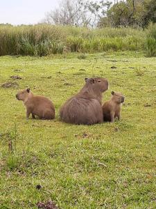 La Posada del Mainumby