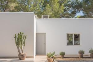 Beautiful 1 hectar property near Cala Jondal