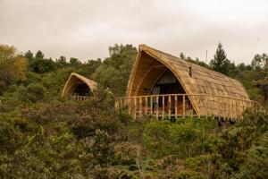 Hotel Casa Selvaggio