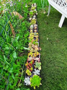 Maisons de vacances Eden appartement T2 dans aile de villa : photos des chambres