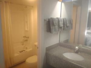 2 Double Beds Hotel Studio 202
