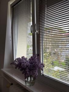 Apartament Gdynia 62