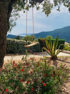 Villas Stunning Villa with Pool, Sea View & Petanque in Golfe Saint Tropez : photos des chambres