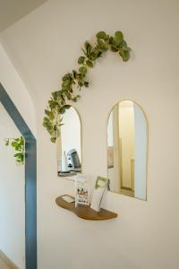 Les Toits dAuxerre - Center - Rooftop View