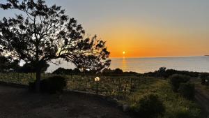 La PAVONCELLA 2 img18