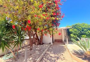 Villa Andrea "Vivi lOasi di Tranquillità"