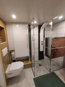 Maisons de vacances Charmante maison alsacienne, sauna et jardin : photos des chambres