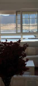 Flamingos view apartment in Cabo de Gata