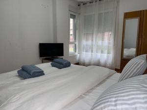 Entire apartment centro ponferrada