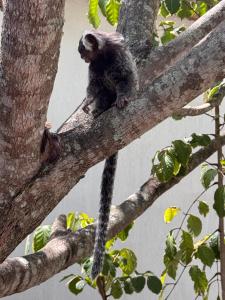 Suíte 6 - Village Capixaba
