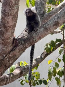 Suíte 1 - Village Capixaba