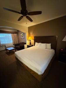 King Room with Kitchenette - Non-Smoking room in Best Western Inn Navasota