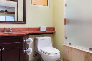 2BD Standard Suite Villa del Palmar Flamingos