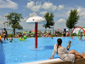Apartment in Siofok - Balaton 54329