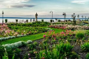 Apartment in Siofok - Balaton 54329