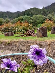 Cabaña Sutatausa Cundinamarca Colombia