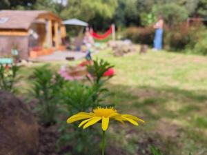 Cabaña Sutatausa Cundinamarca Colombia