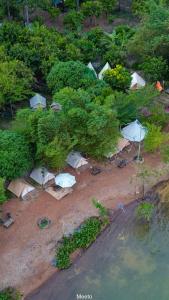 Camping Hồ Trị An - Meeto