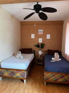On Board Panglao Beach Hostel & Resort