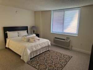 1500 Locust Apartments Luxury Living in the Heart of Philadelphia