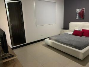 Penthouse apt Central Park View in HISTORIC building near El Poblado