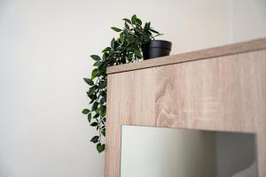 Apartment in Tallinn Old Town