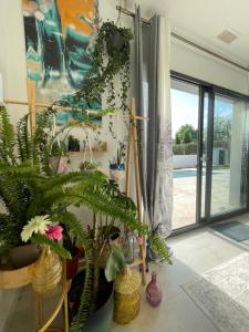 Maison moderne avec Piscine