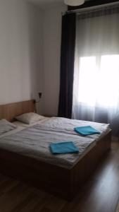 Double or Twin Room room in Omega Guesthouse Budapest