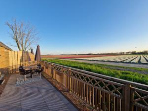 Rand van Wieringen Ibiza en Afrika suite