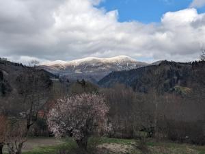 Appartements Appartement 2 chambres L-Oreade Sancy : photos des chambres
