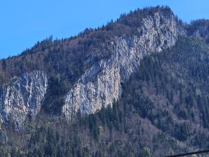 Appartement Am-Wildpfad