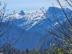 Appartement Am-Wildpfad