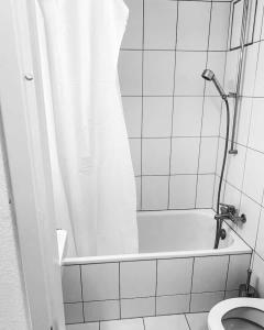 Studio, 3 min walk to Zurich main stationHB LEON