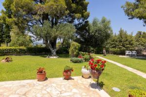 Eco Stone Villa with Private Pool and Jacuzzi