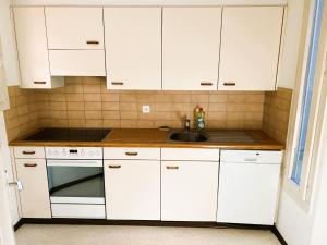 Huge Flat, 3 Bedroom, Balcony in Luzern Center 13A