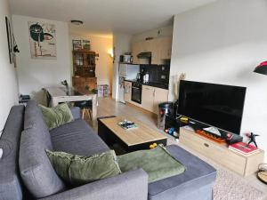 Hautacam Condor - Balcon vue montagne