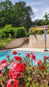 Maisons de vacances Lou Caliandro : photos des chambres