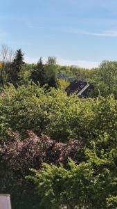 Apartament420