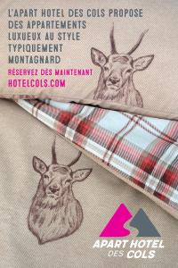 Hotels Apart Hotel des Cols : photos des chambres
