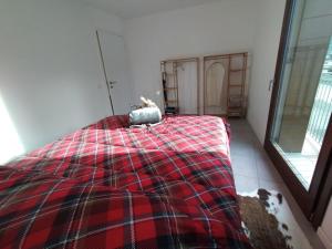 Adamello Peak ONE Apartment