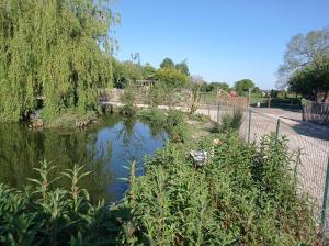 La villa Saint-Martin