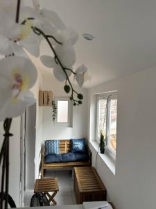 Appartement T3 - centre ville - climatisation - internet