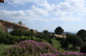 Maisons de vacances A Machja 17 : photos des chambres