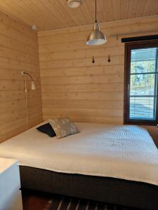 Air-conditioned holiday home Vutnusmaja at Iso-Syöte