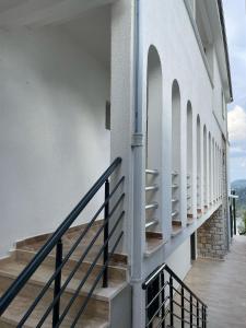 Oliva Mare