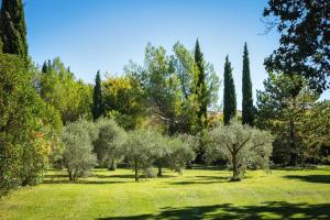 Villas Countryside Villa Provence - Pool Tennis & horses : photos des chambres