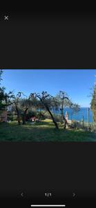 Il Gabbiano Di Pieve