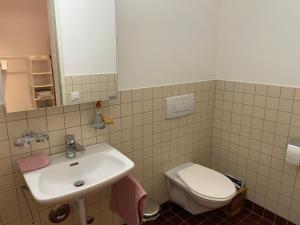 Private Room with Independent Entrance in Basel - Eurovision 2025