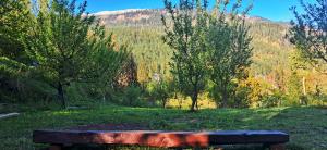 MJ cafe and homestay