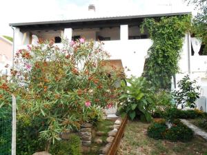 Casa delle Ginestre 2